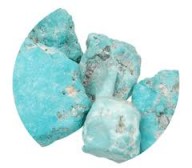 l'Ami Turquoise